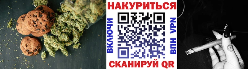 закладка  Сураж  Canna-Cookies марихуана 