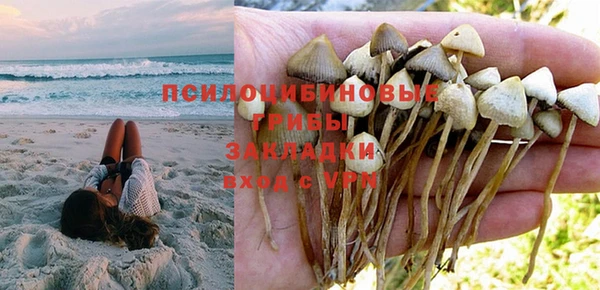 каннабис Абаза
