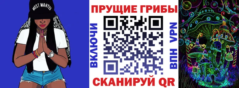 Псилоцибиновые грибы ЛСД хочу Сураж